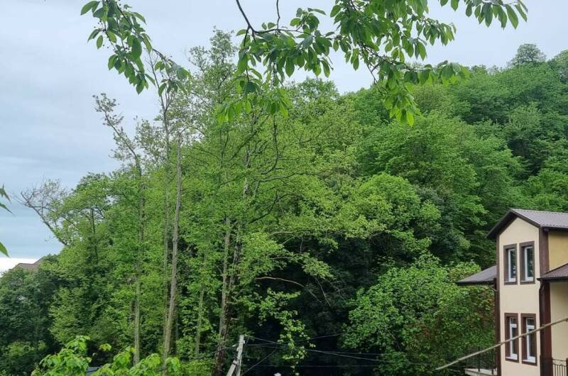 Гостевой дом «Новый свет»