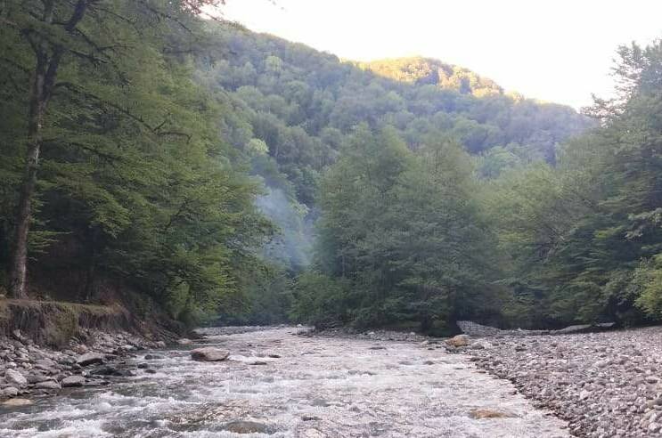 Гостевой дом «Новый свет»