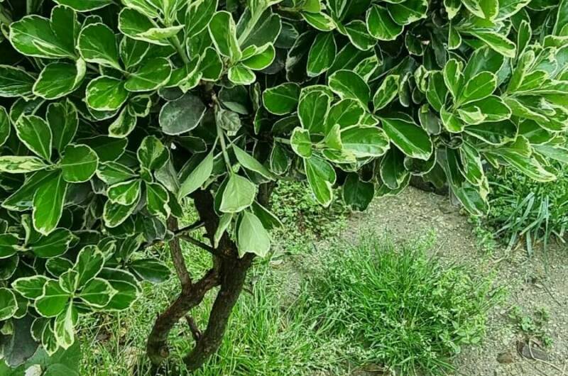 Гостевой дом «Новый свет»