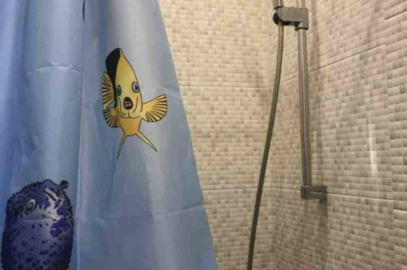 Студия на Яна Фабрициуса