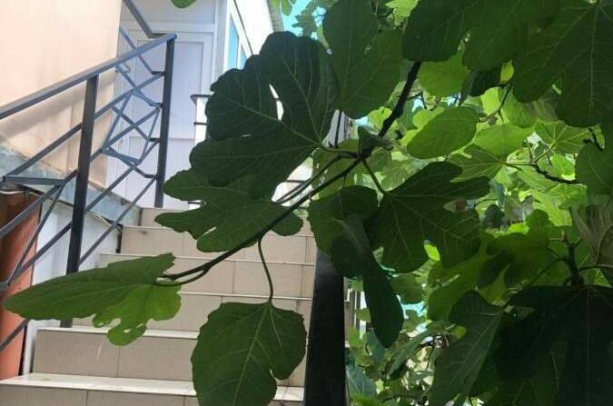 Гостевой дом на Таллинской 12