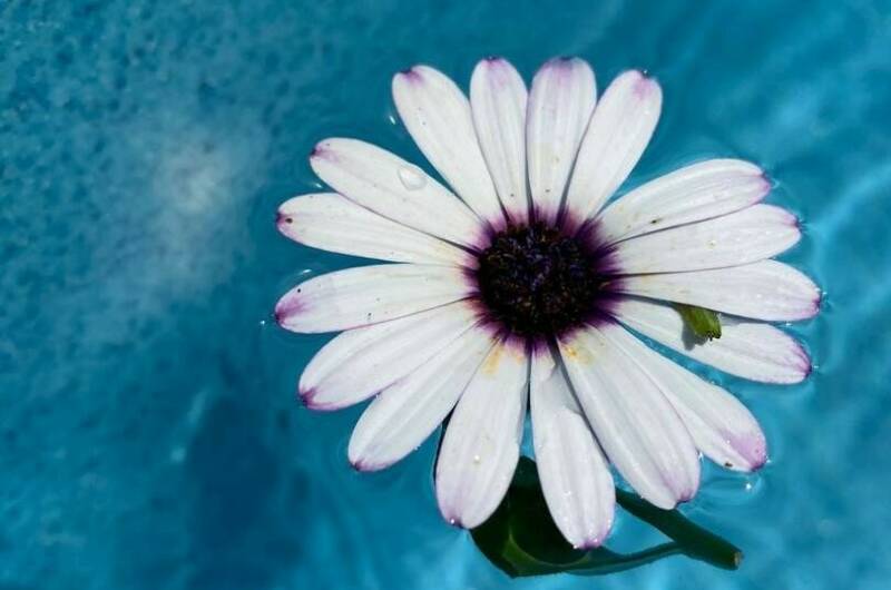 Отель «Белая Берёзка»