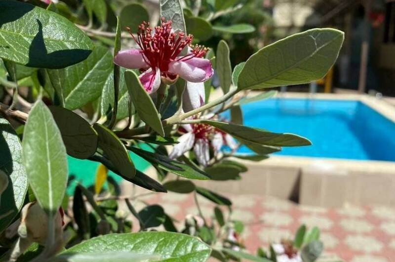 Отель «Белая Берёзка»