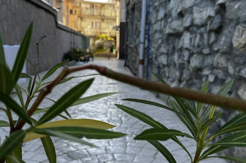 Гостевой дом «La villa»