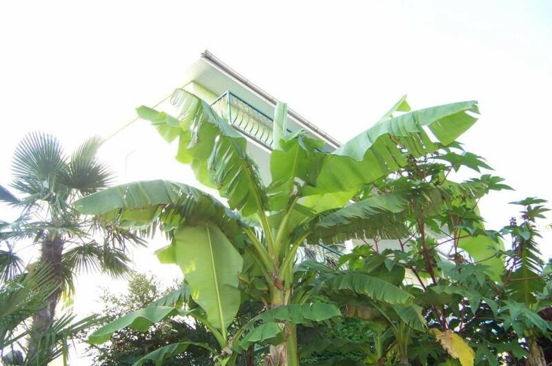 Гостевой дом «Анастасия»