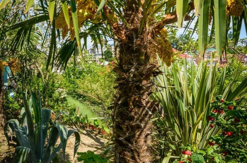 Гостевой дом «Анастасия»