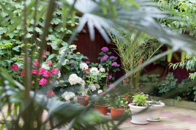 Гостевой дом «Старт»