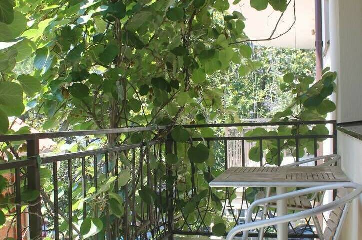 Гостиница «Европа»