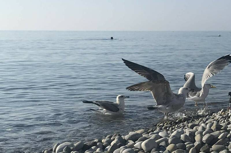 Гостиница «Европа»