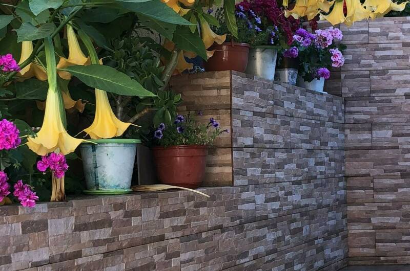 Гостевой дом «Виктория плюс»