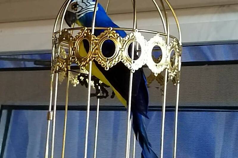 Гостевой дом «Комильфо»