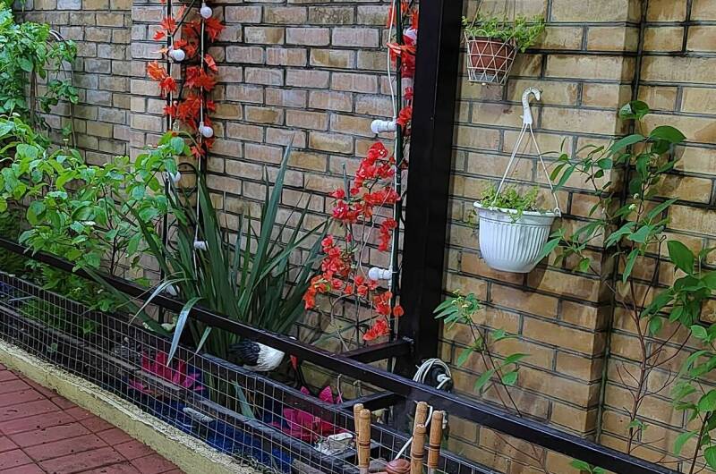 Гостевой дом «Комильфо»