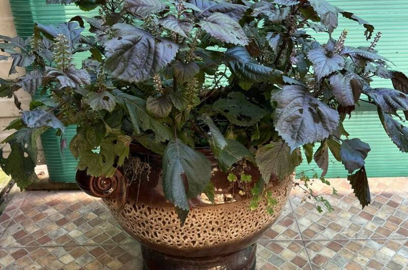 Гостевой дом «Делюкс»