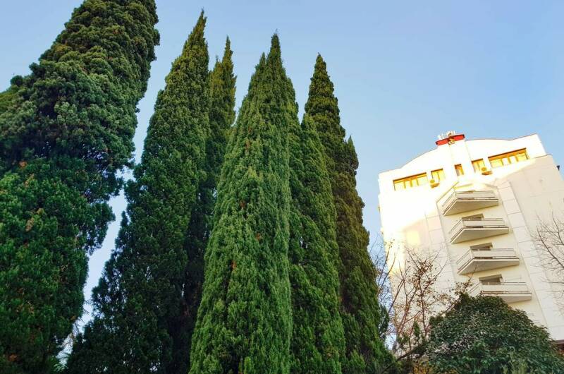 Апартаменты «Светлана»