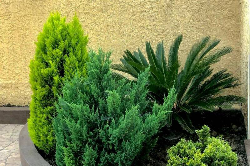 Гостевой дом «У Сати»