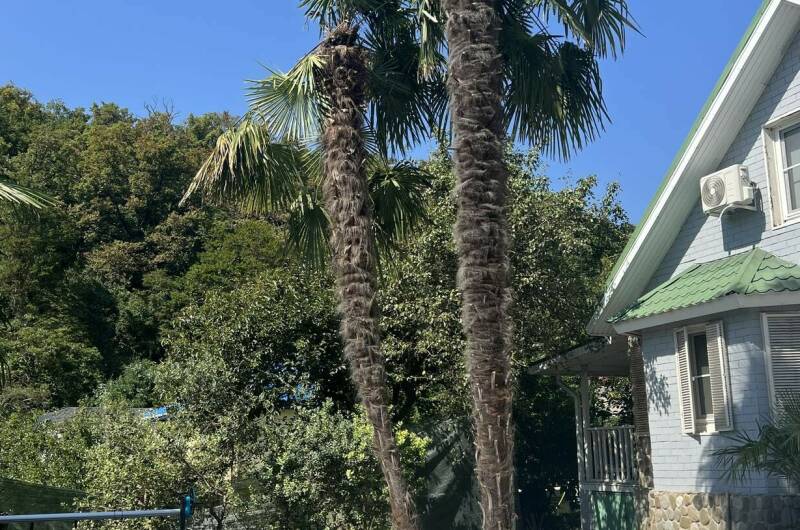 Коттедж «SeaHorse_Village»