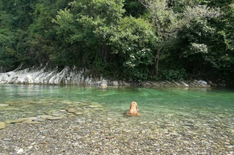 Гостевой дом «Летний»