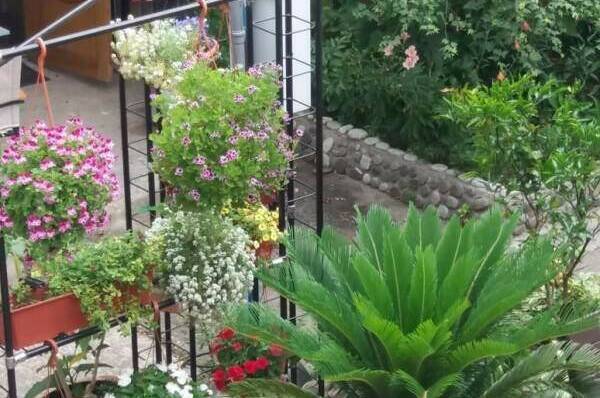 Гостевой дом «Приморский дворик»