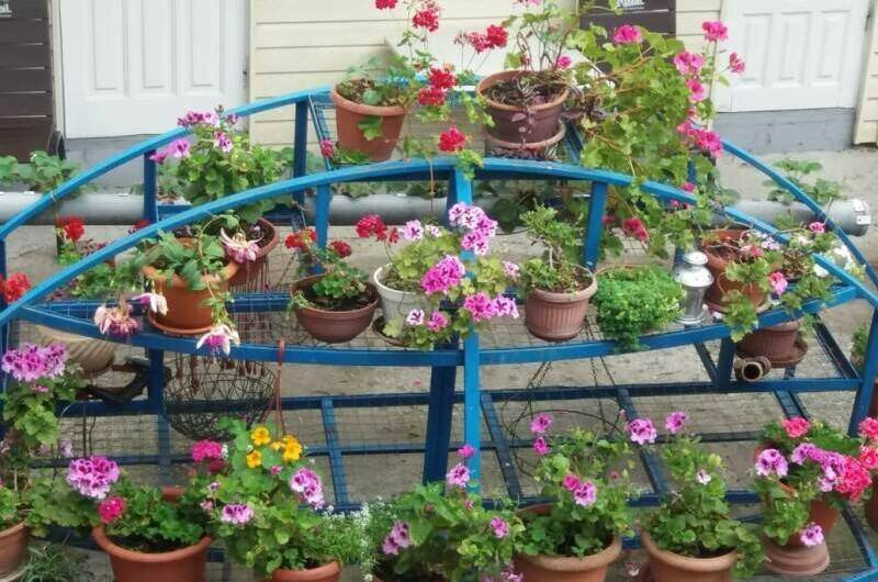 Гостевой дом «Приморский дворик»