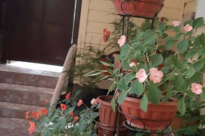 Частный дом «Natasha Hause» на Белинского