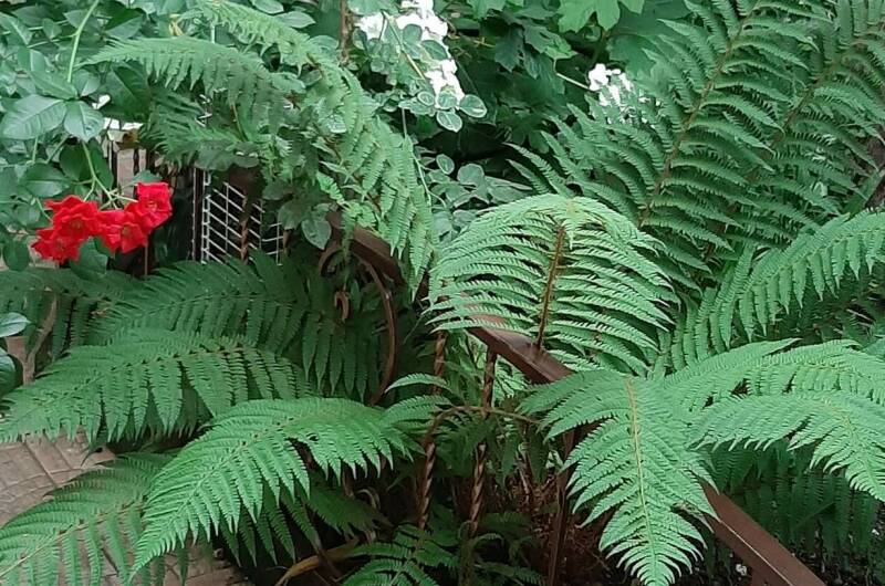 Частный дом «Natasha Hause» на Белинского