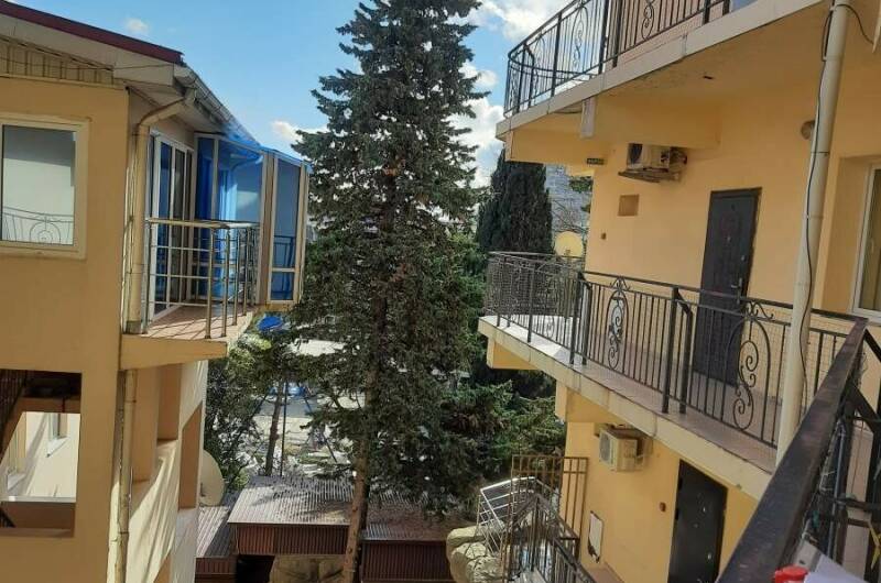 Квартира «Питон»