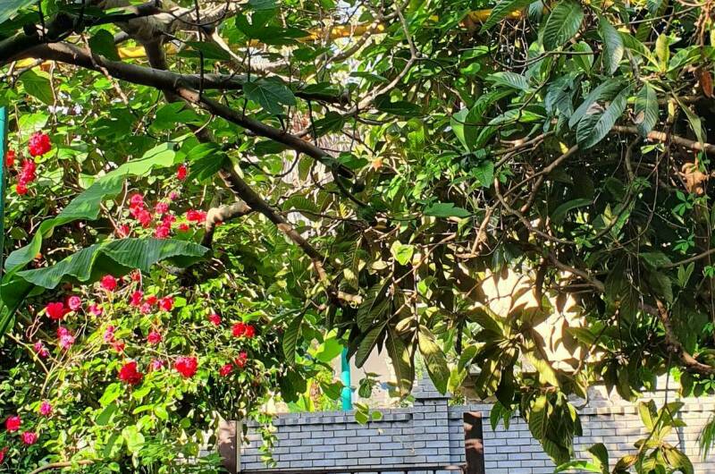 Частный сектор «Остров сокровищ»