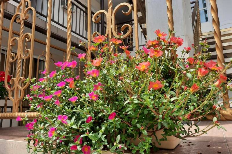 Частный дом «Солнечный берег»