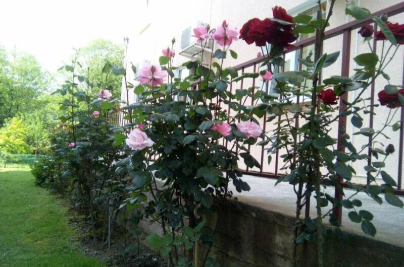 Гостевой дом «Южаночка»