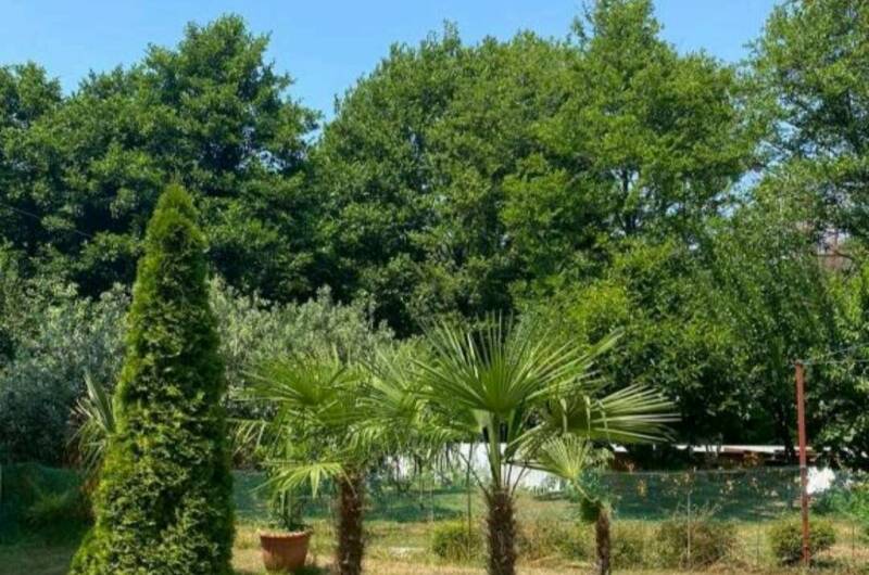 Гостевой дом «Южаночка»