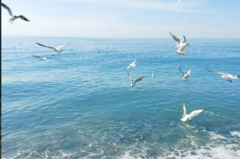 Однокомнатная у моря