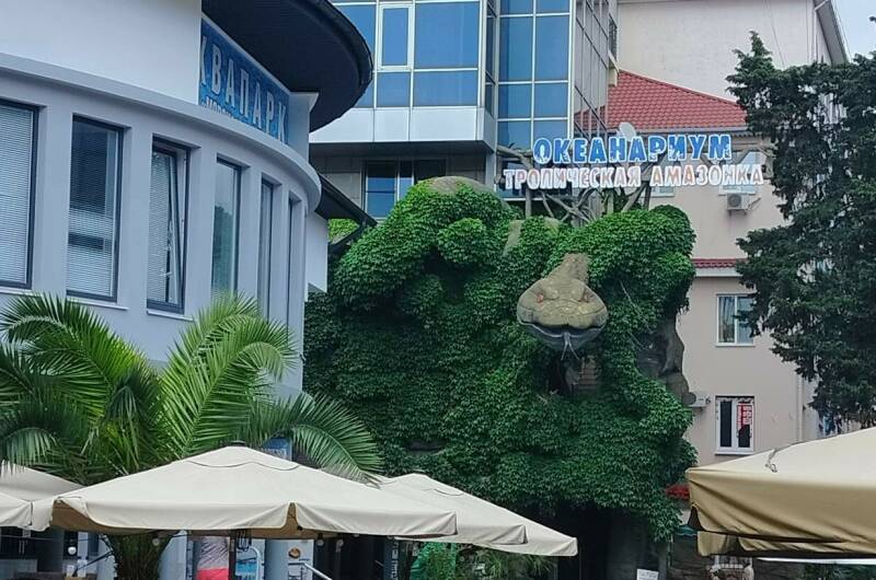 Апартаменты «Морская звезда»