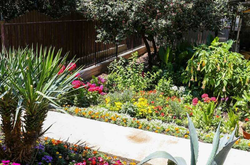 Гостевой дом «Афалина»