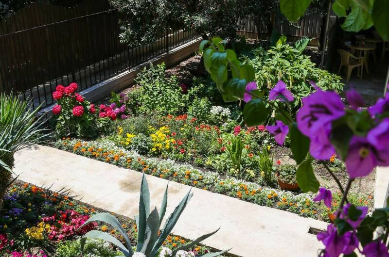 Гостевой дом «Афалина»