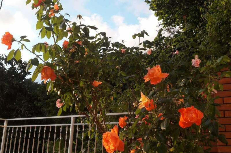 Гостевой дом «Винтаж»