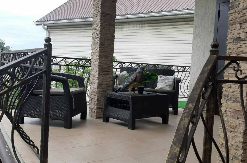 Гостевой дом на Мамайке