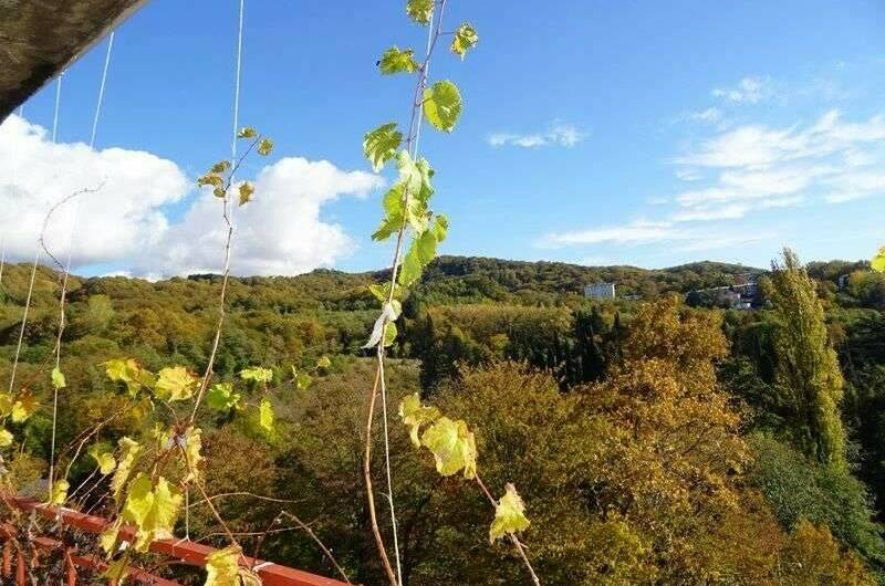 Гостевой дом «Лусан»