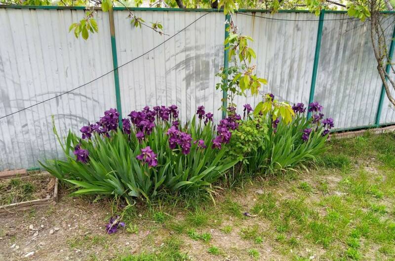 Гостевой дом «Капитан Врунгель»