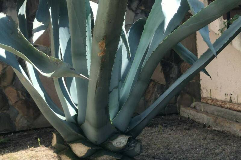 Вилла «Marem»