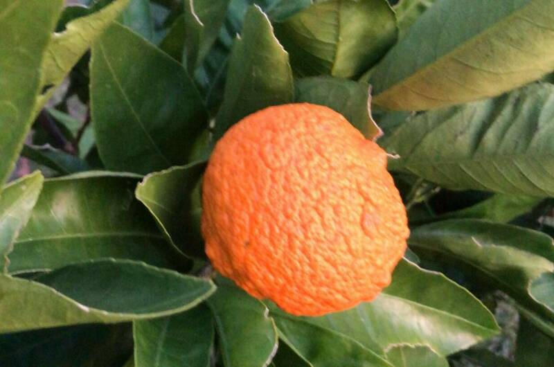 Вилла «Marem»