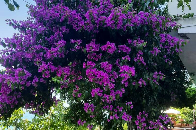 Частный дом «На Астраханской»