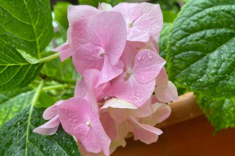 Частный дом «На Астраханской»