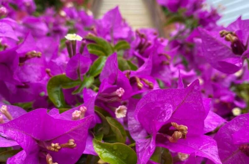 Частный дом «На Астраханской»