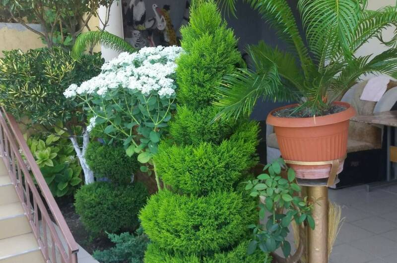 Частный дом «На Астраханской»