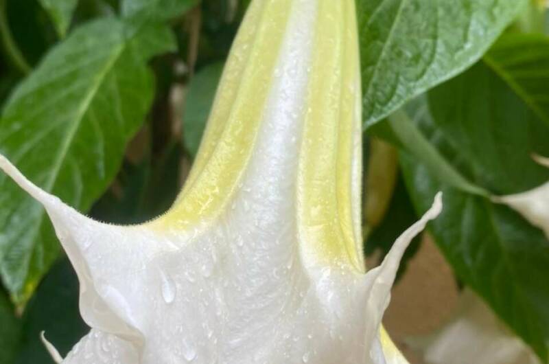 Частный дом «На Астраханской»