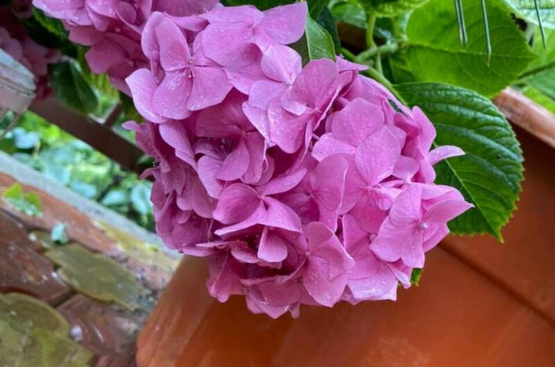 Частный дом «На Астраханской»