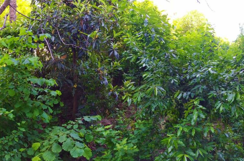 Однокомнатная квартира рядом с морем