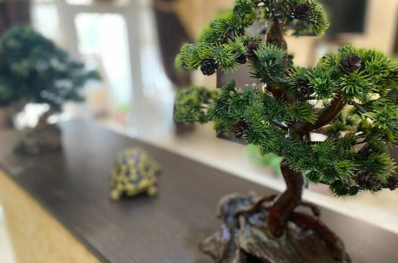 Гостевой дом «Лилия»