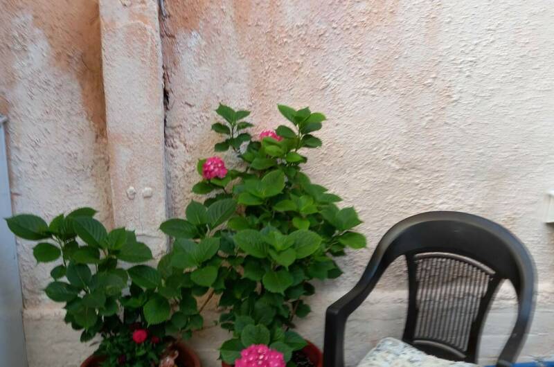 Студия со своим двориком