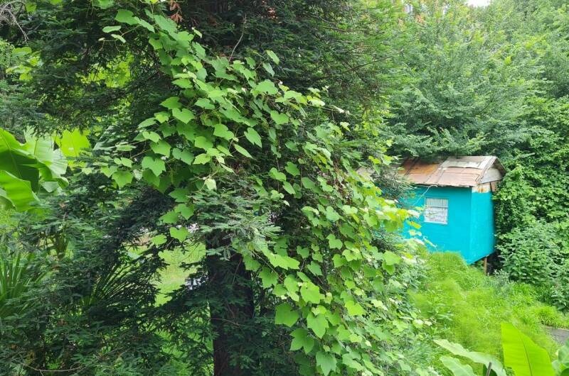 Гостевой дом «У Зои»